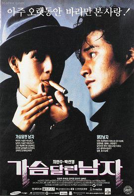 极速波动